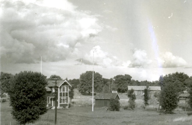 Svartlöga